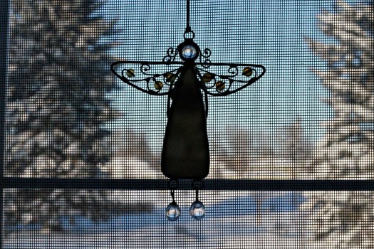 Window