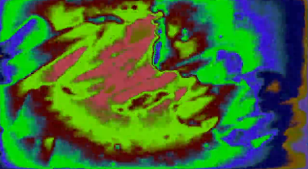 Screenshot_20200511-085600_2